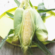 Illustration for article titled Top 7 Health Benefits of Corn